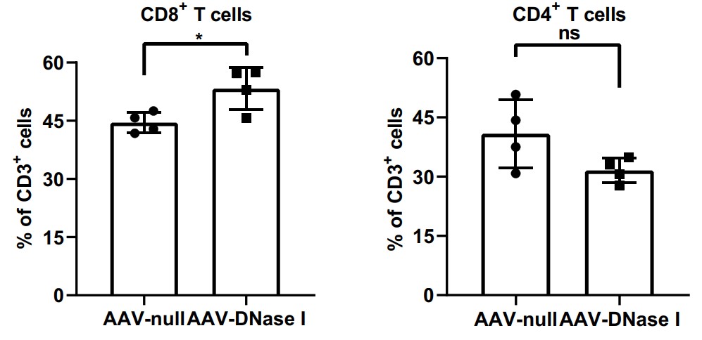 Quantification of cellular percentages in tumor tissues by flow cytometry.jpg